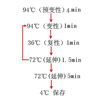 利来平台·w66(中国)老品牌官网