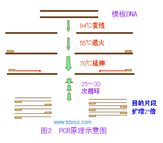 利来平台·w66(中国)老品牌官网