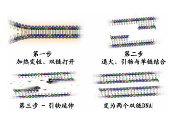 利来平台·w66(中国)老品牌官网