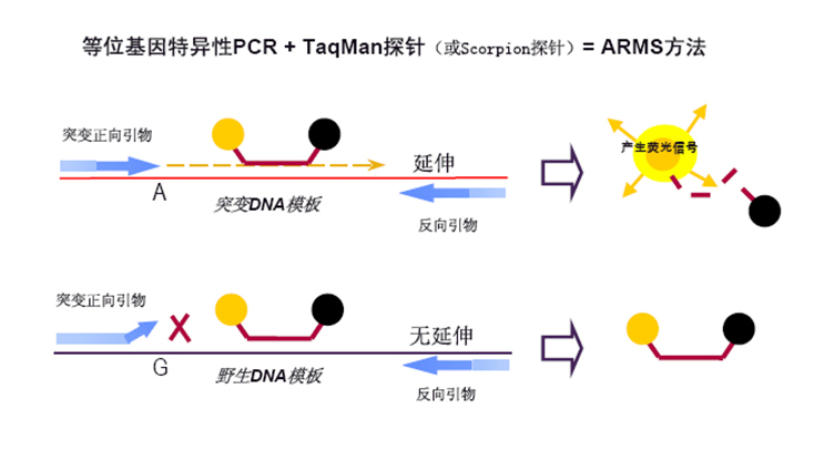 利来平台·w66(中国)老品牌官网